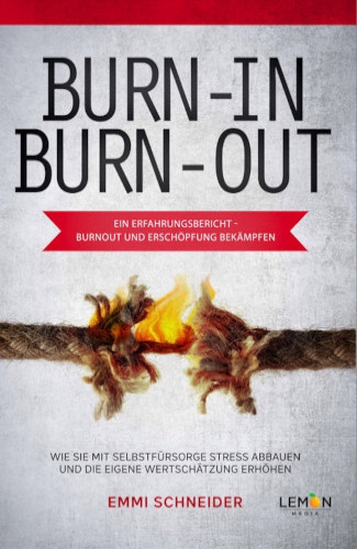 Burn-In Burn-Out (Taschenbuch)